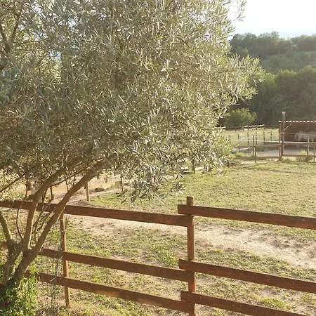 D'hotes Le Petit Ranch Los Masos