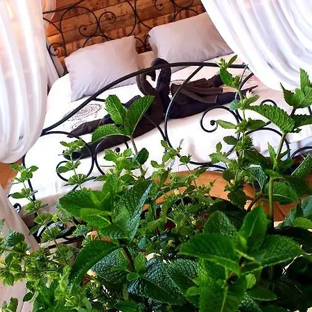 D'hôtes Le Petit Ranch Couette-café 4*