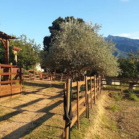 Bed & Breakfast D'hotes Le Petit Ranch