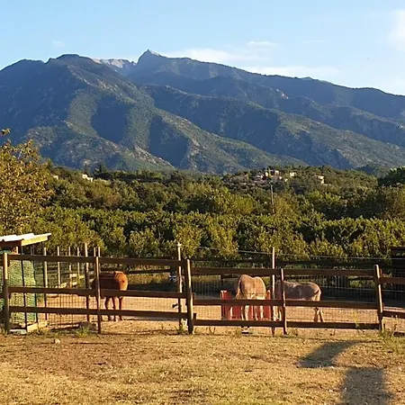 D'hotes Le Petit Ranch 4* Los Masos