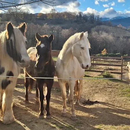 D'hotes Le Petit Ranch 4* Los Masos