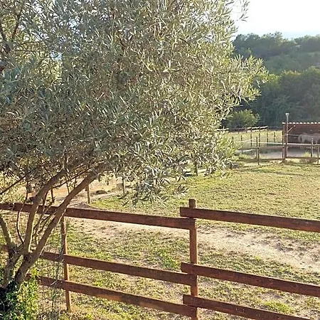 B&B D'hotes Le Petit Ranch