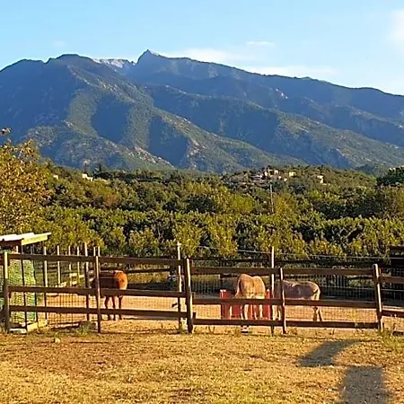 B&B D'hotes Le Petit Ranch Los Masos