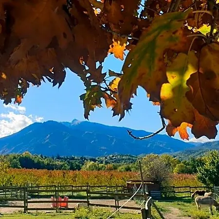 B&B D'hotes Le Petit Ranch 4*