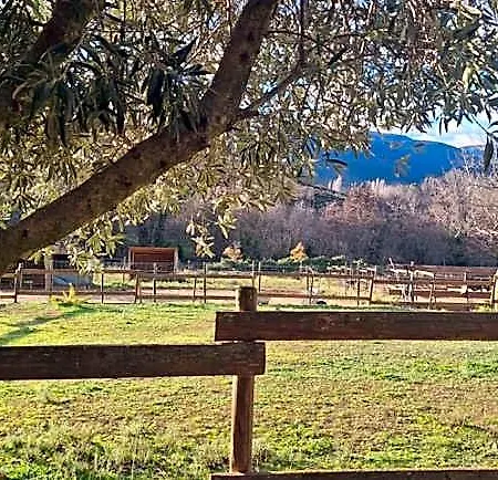 B&B D'hotes Le Petit Ranch